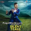  Silent Tears - Gagan Kokri 320Kbps Poster