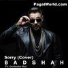  Sorry (Desi Version) Badshah n Gurinder Rai 320Kbps Poster