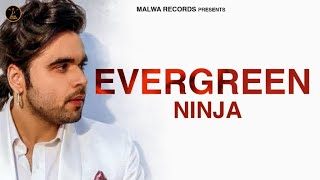  Evergreen - Ninja Poster