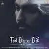  Tod Da e Dil - Maninder Buttar Poster