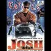 Hare Hare Hum To Dil Se Hare - Josh Poster