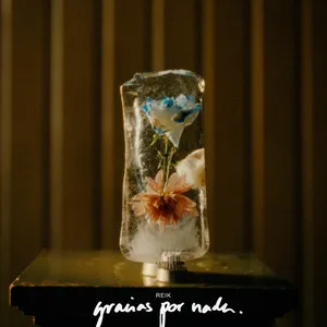  Gracias por Nada Song Poster