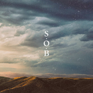 S.O.B. Song Poster