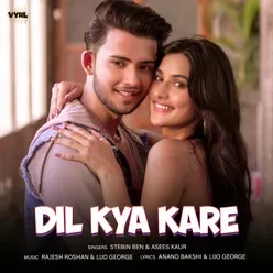 Dil Kya Kare Poster